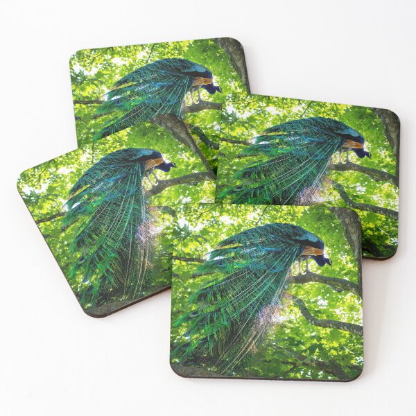 Item preview, Cool Shade Peacock designed and sold by Nathan Pipkorn.