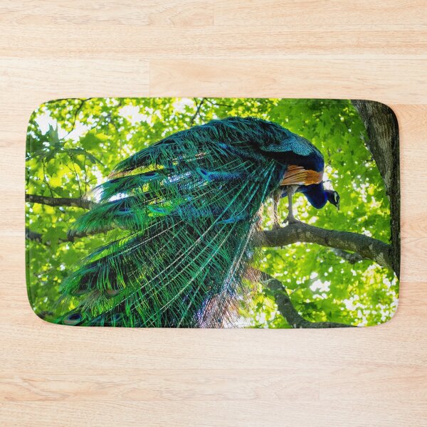 Item preview, Cool Shade Peacock designed and sold by Nathan Pipkorn.