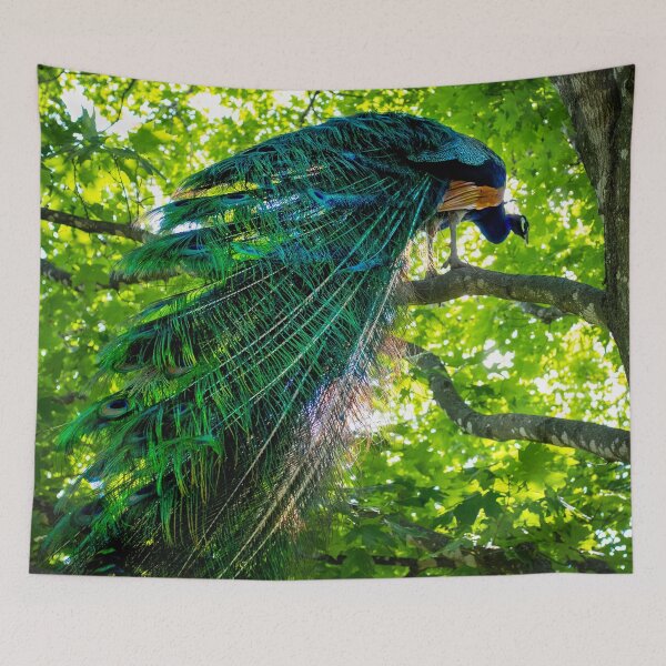 Item preview, Cool Shade Peacock designed and sold by Nathan Pipkorn.