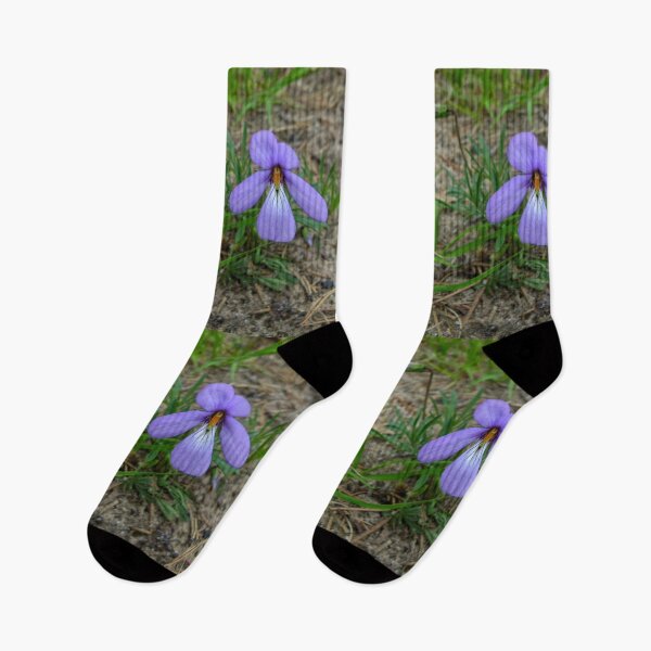 Item preview, Birds Foot Violet designed and sold by J Rier Photography.