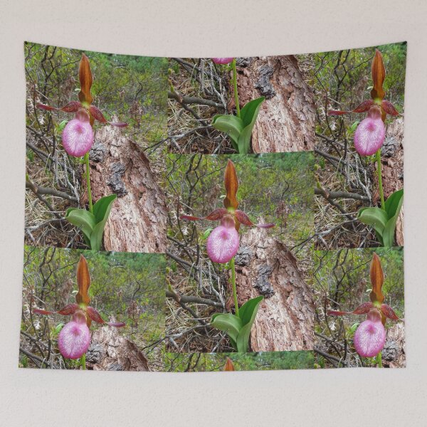 Item preview, Lady Slipper Orchid designed and sold by J Rier Photography.