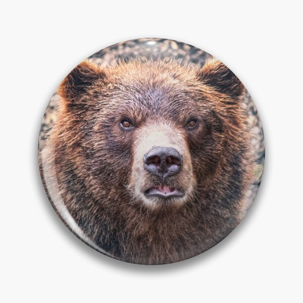 Item preview, I Bear To Differ! 2 designed and sold by Alex Preiss.