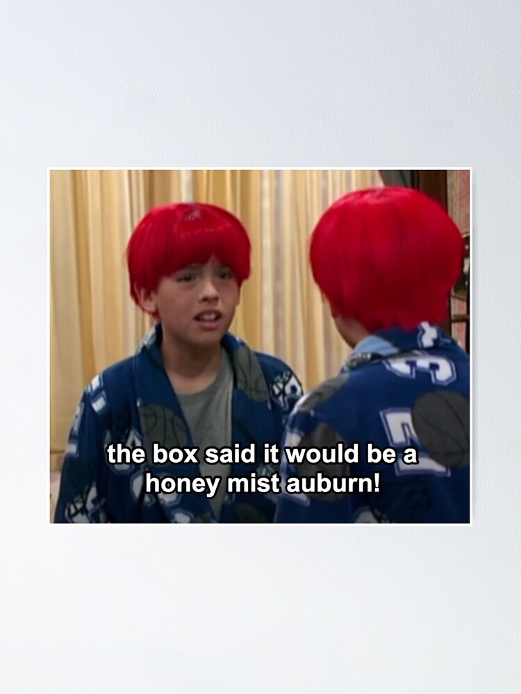 "The Suite Life of Zack and Cody, Honey Mist Auburn" Poster by danimora