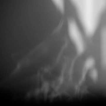 Imagen de la obra Smear de Remy Porter