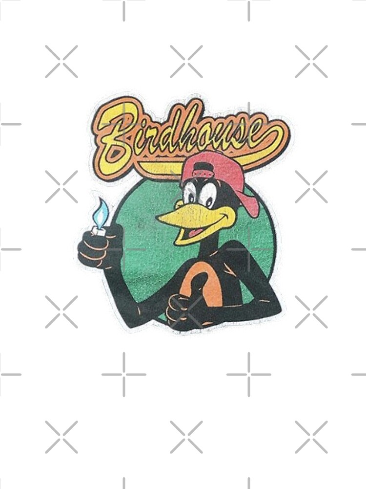 Vintage Birdhouse Tony Hawk Bird House Hook Ups Skate Brand Cartoon Hookups  Hook-Ups Art Print for Sale by jackyboi