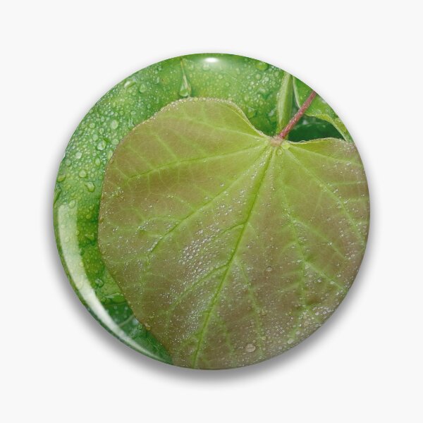 Item preview, Redbud Leaves After The Rain designed and sold by BRENDA DOHERTY.