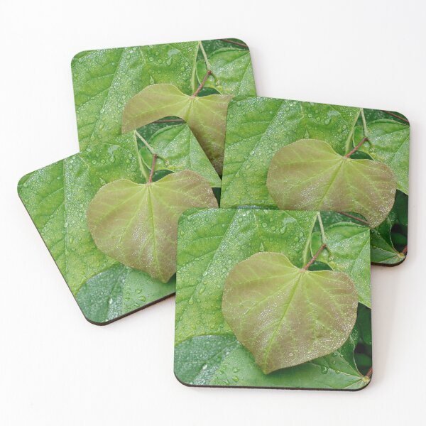 Item preview, Redbud Leaves After The Rain designed and sold by BRENDA DOHERTY.
