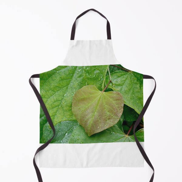 Item preview, Redbud Leaves After The Rain designed and sold by BRENDA DOHERTY.