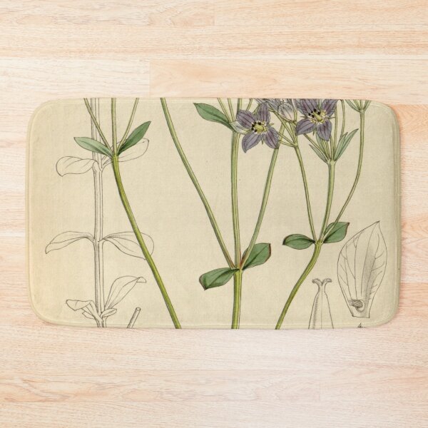 Item preview, Curtis's botanical magazine (Tab. 4489) (8240504417) designed and sold by EsotericBotanic.