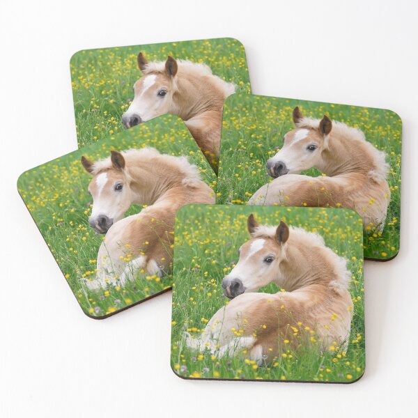 Item preview, Haflinger Horse Cute Foal Resting in a Flowerbed designed and sold by Katho Menden.