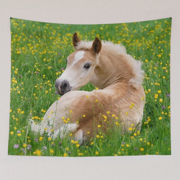 Item preview, Haflinger Horse Cute Foal Resting in a Flowerbed designed and sold by Katho Menden.
