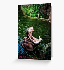 Hungry Hungry Hippo Greeting Card