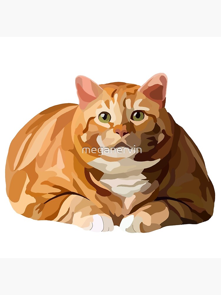 Fat orange cat