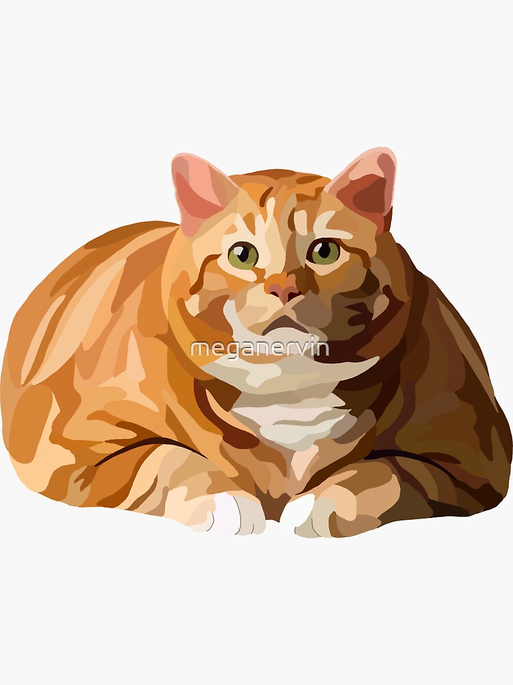 Chubby orange hot sale cat