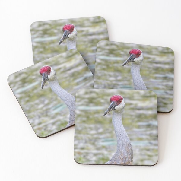Item preview, Sandhill Crane 5 designed and sold by StevenRalserPhoto.