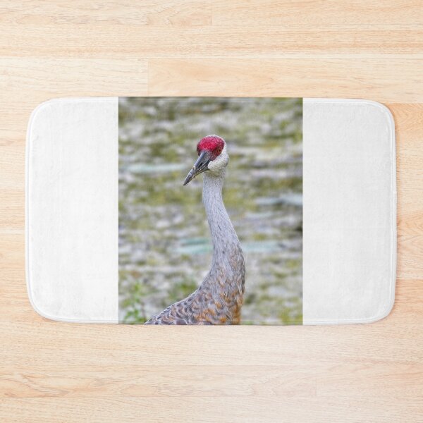 Item preview, Sandhill Crane 5 designed and sold by StevenRalserPhoto.