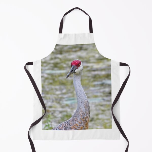 Item preview, Sandhill Crane 5 designed and sold by StevenRalserPhoto.