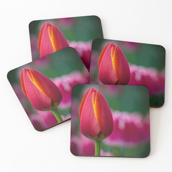 Item preview, Tulips 1 designed and sold by Lise Rodembusch.