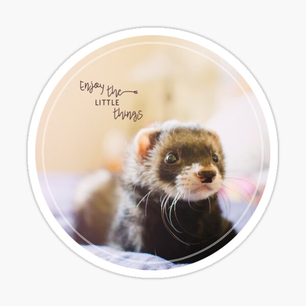 Item preview, enjoy the little things designed and sold by lillylanemarket.
