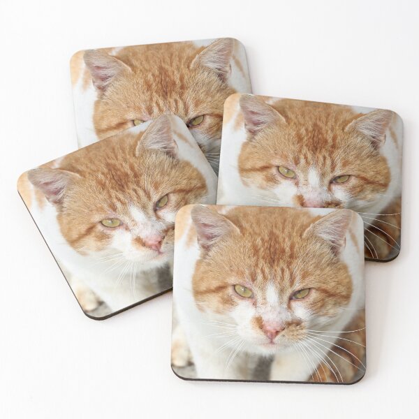 Item preview, Lion or Cat? designed and sold by Cacho56.