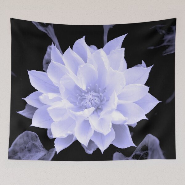 Item preview, White Clematis 5 designed and sold by Orchyd.