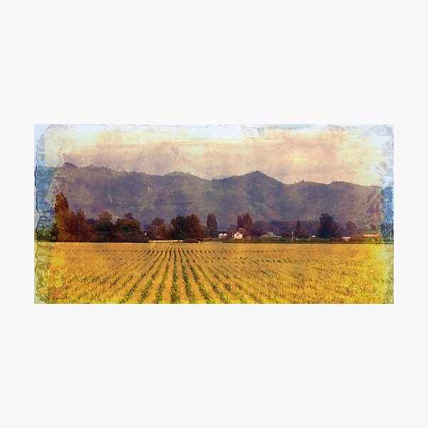 not one of forgetting Photographic Print
