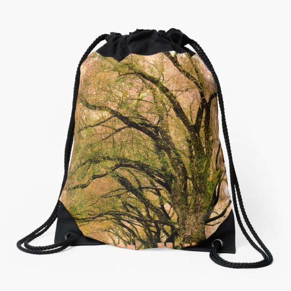 contain the unknown Drawstring Bag
