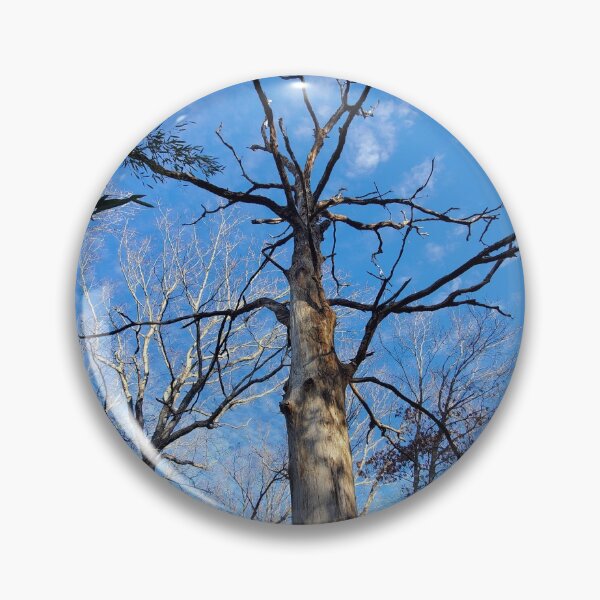 Item preview, Bare Tree designed and sold by TockSickArt.