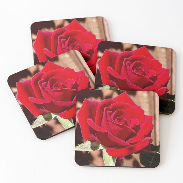 Item preview, Red rose designed and sold by Tizz07.