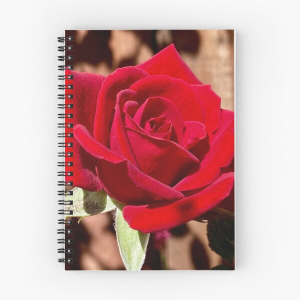 Item preview, Red rose designed and sold by Tizz07.