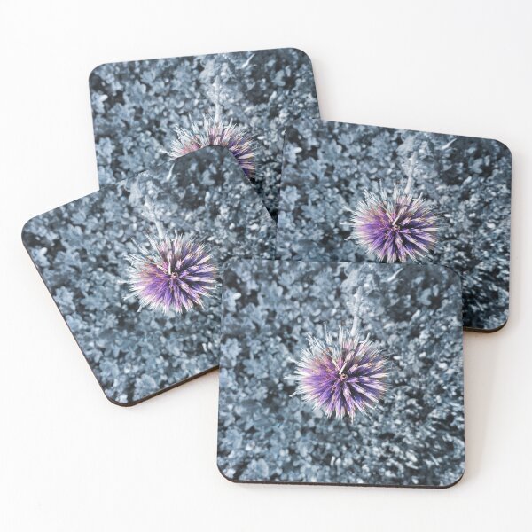 Item preview, Echinops Ritiro designed and sold by Hazel Meades.