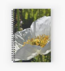 Cuaderno de espiral White Poppy