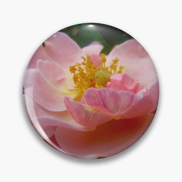 Item preview, Pink Rose designed and sold by Shulie1.