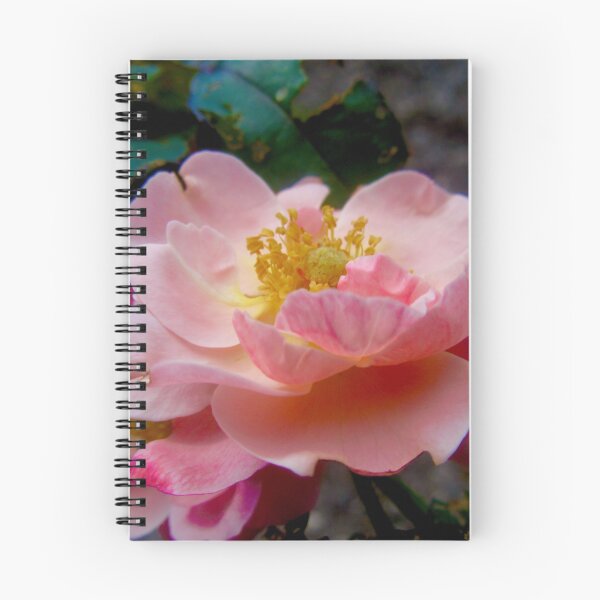 Item preview, Pink Rose designed and sold by Shulie1.