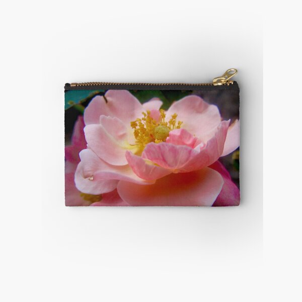 Item preview, Pink Rose designed and sold by Shulie1.