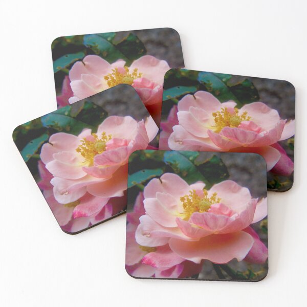 Item preview, Pink Rose designed and sold by Shulie1.