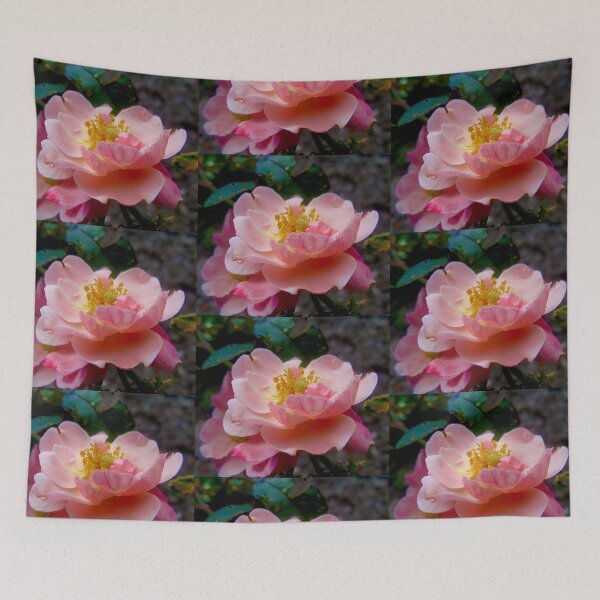 Item preview, Pink Rose designed and sold by Shulie1.