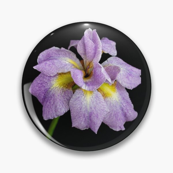 Item preview, Iris on Black designed and sold by Nethycurl.