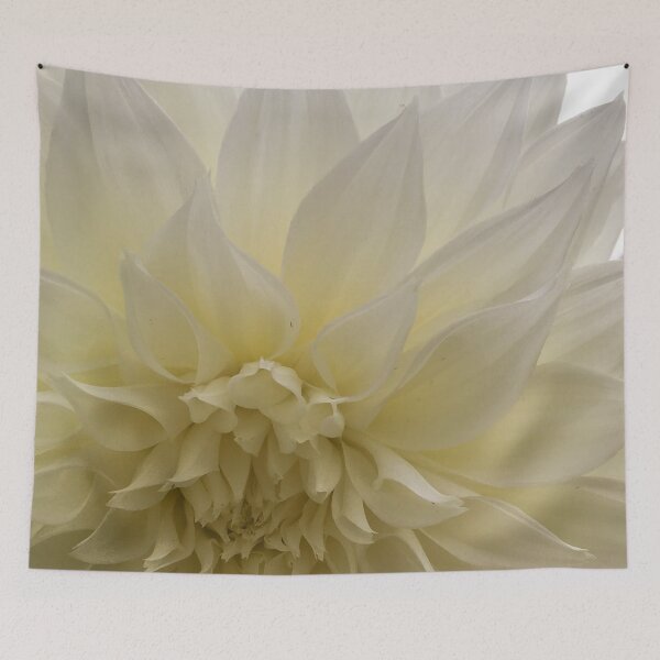 Item preview, Soft Eggshell White Semi Cactus Dahlia Flower in Bloom. Petal Pattern 060 designed and sold by Bees-n-Flowers.
