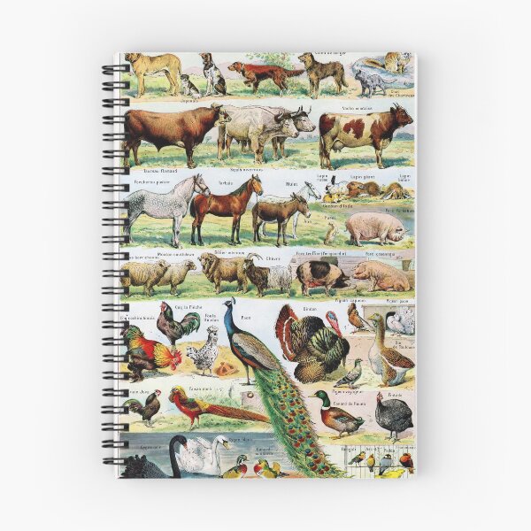 Item preview, Adolphe Millot - Animaux domestiques - Vintage french science illustration designed and sold by Gardenlibrary.