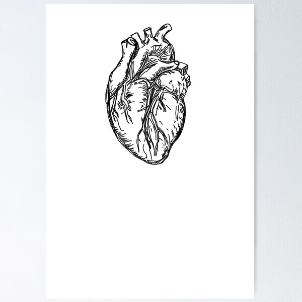 Heart anatomy print VII - Codex Anatomicus