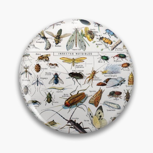 Item preview, Adolphe Millot - Insectes - Vintage french science illustration designed and sold by Gardenlibrary.