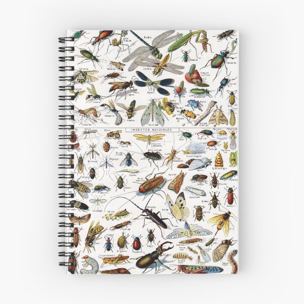 Item preview, Adolphe Millot - Insectes - Vintage french science illustration designed and sold by Gardenlibrary.