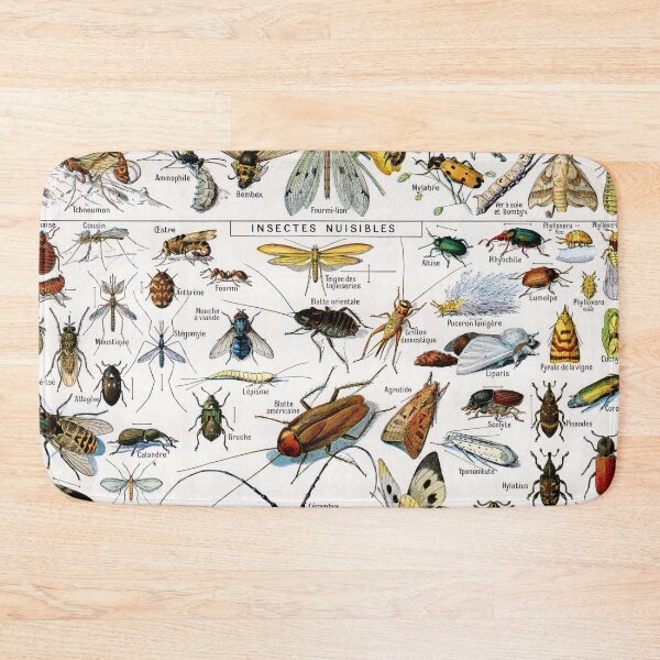 Item preview, Adolphe Millot - Insectes - Vintage french science illustration designed and sold by Gardenlibrary.