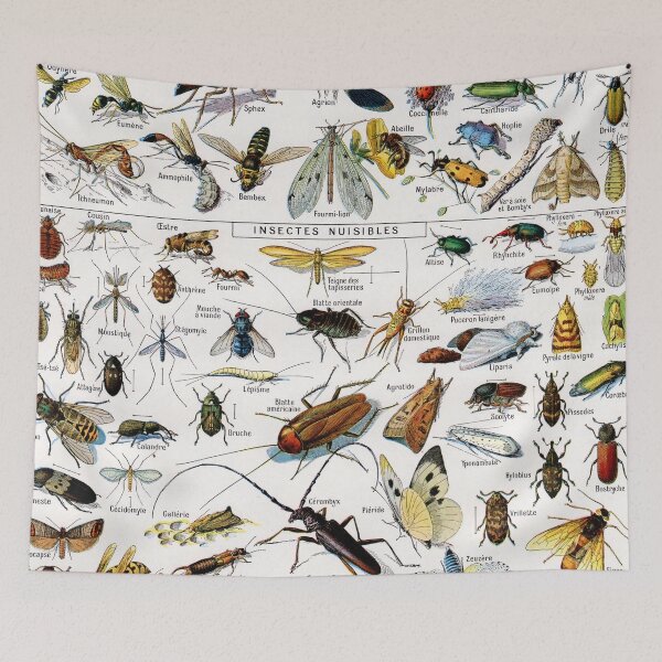 Item preview, Adolphe Millot - Insectes - Vintage french science illustration designed and sold by Gardenlibrary.