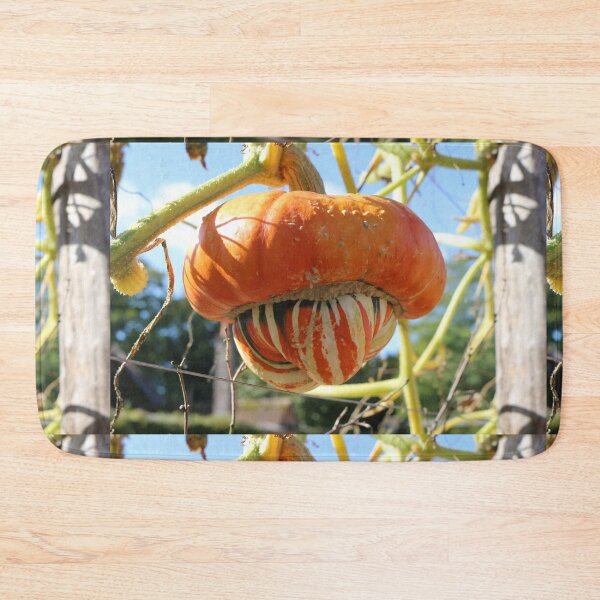 Item preview, french turban squash designed and sold by pinkal.