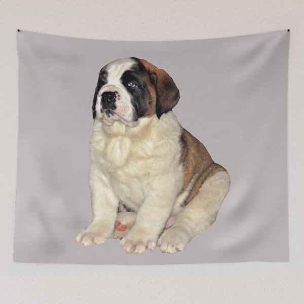 Item preview, Aloof 8 week old St Bernard puppy designed and sold by stretchtees.