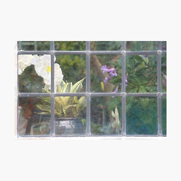 Window Shapes Photographic Print