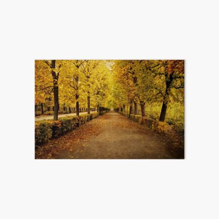 Item preview, Schonbrunn Palace Gardens - Vienna designed and sold by RobynCarter.