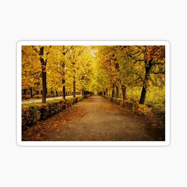 Item preview, Schonbrunn Palace Gardens - Vienna designed and sold by RobynCarter.